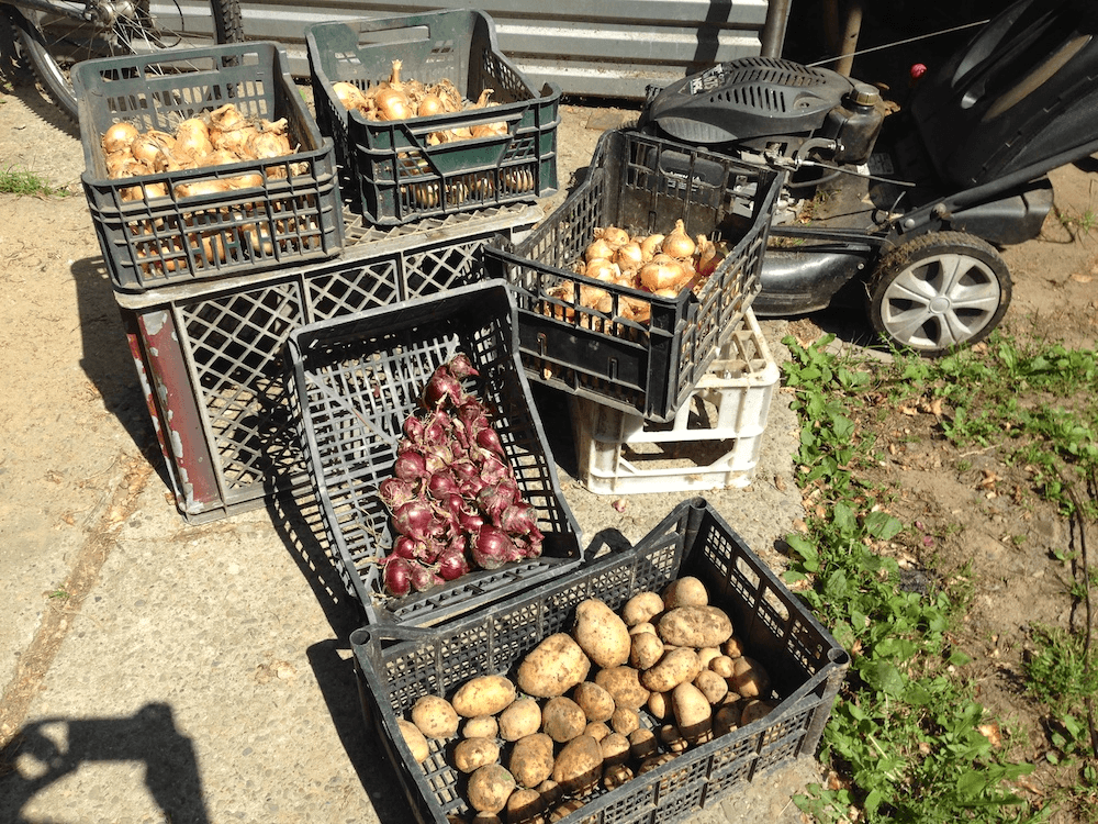 Drying the products under the sun, so they don’t rot.